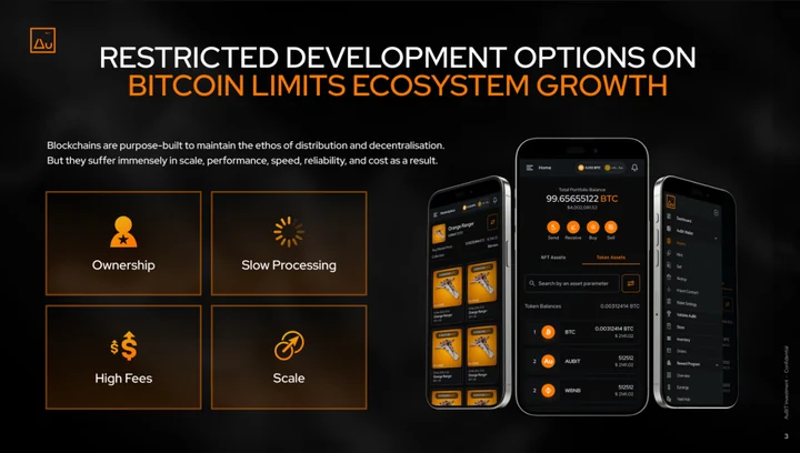 A document spread combines the project’s description of Bitcoin ecosystem constraints with product interface visuals.